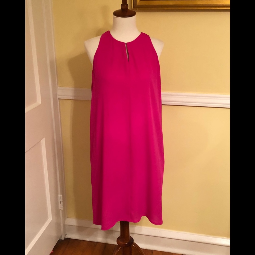 The Limited  Fuchsia Pink Swing Dress